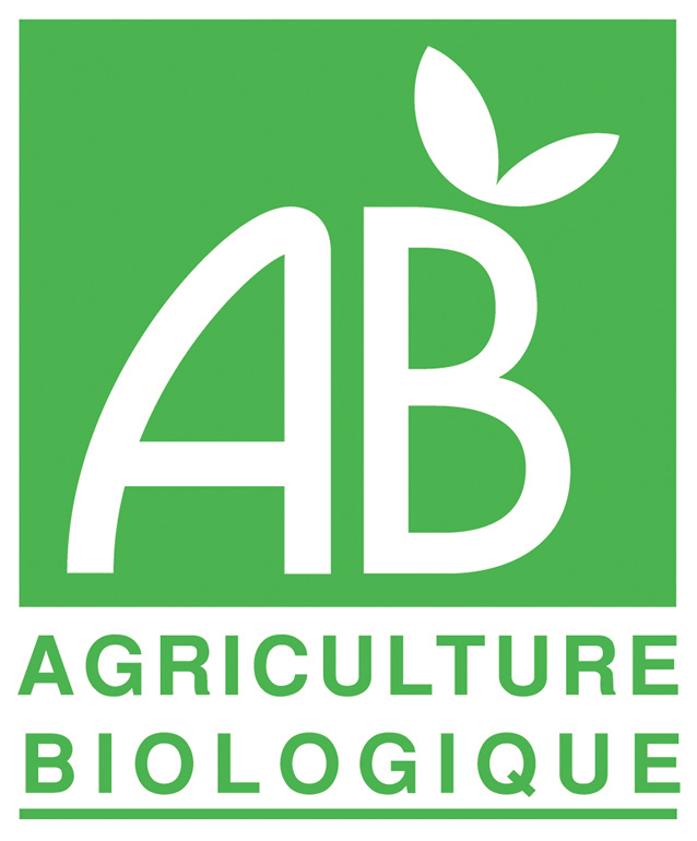 Logo absite